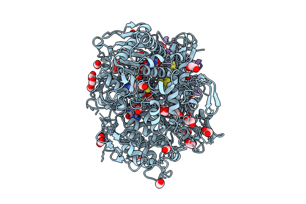 8RCC image
