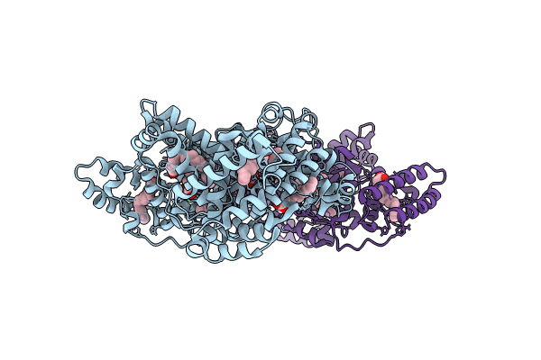 8RCP image
