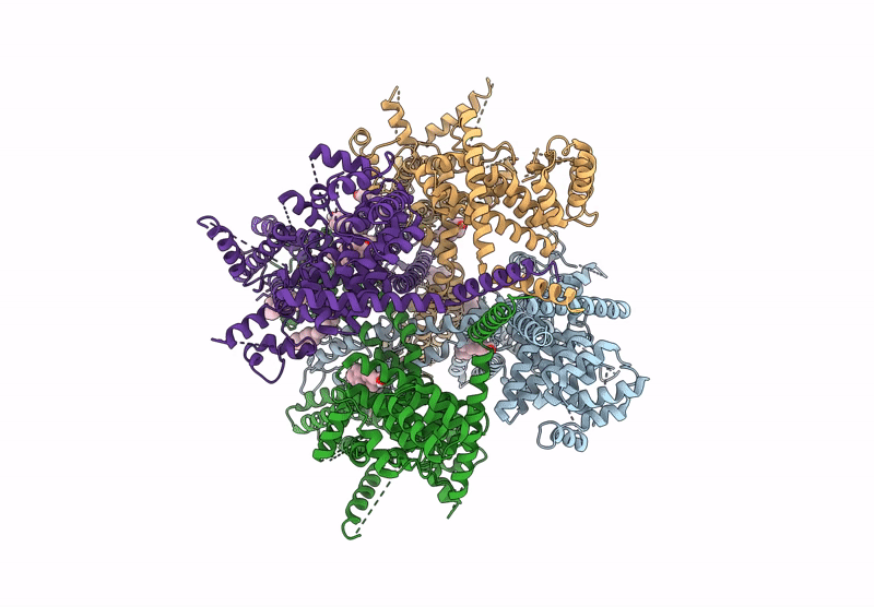 8RCR image