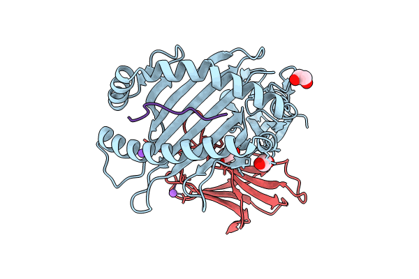 8RCV image
