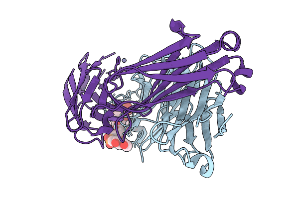 8RDF image