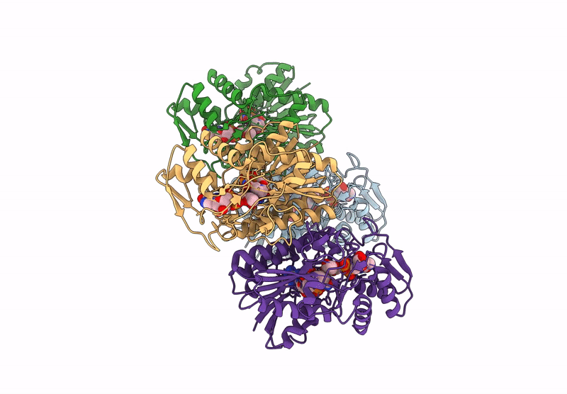8RDI image