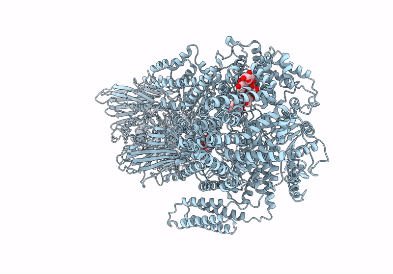 8RFG image