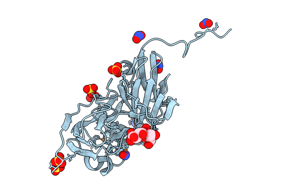 8RFL image