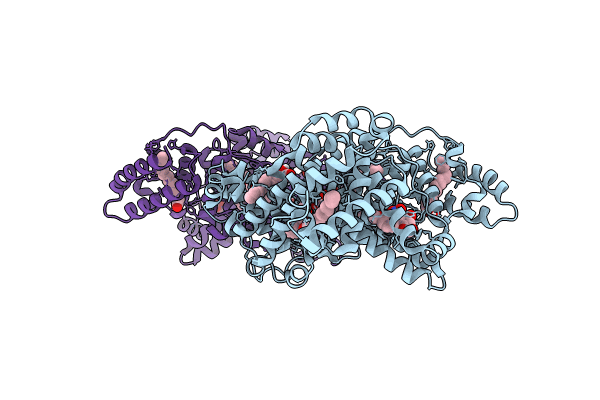8RGL image