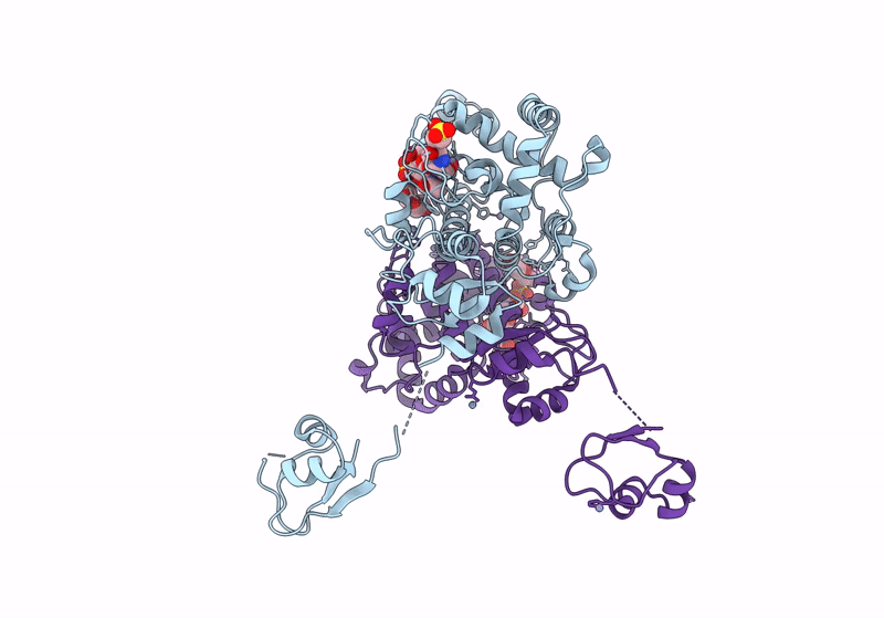 8RHF image