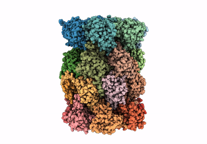 8RHL image