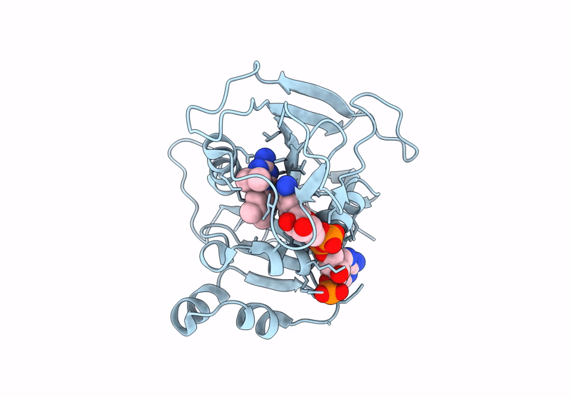 8RHT image