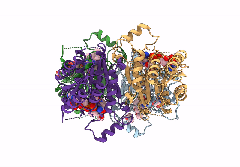 8RHV image