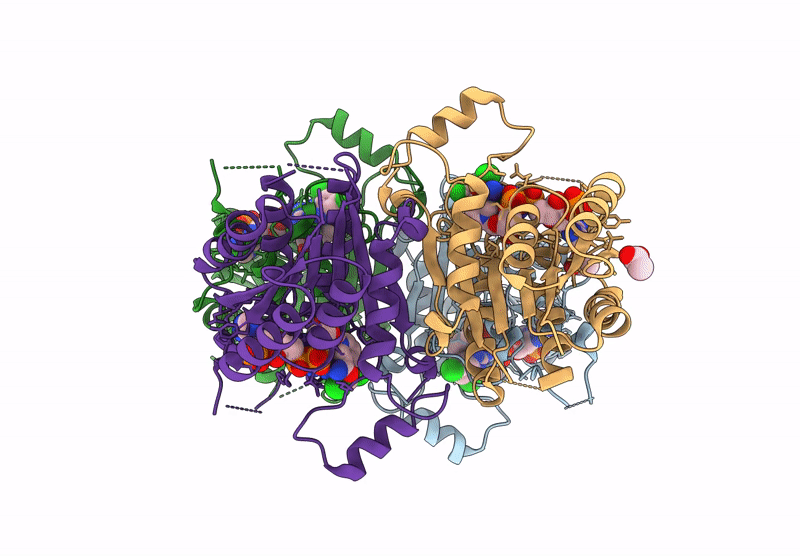 8RHX image