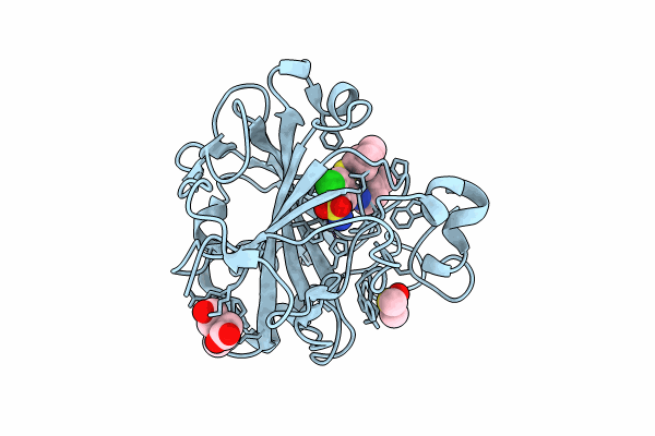 8RJ2 image