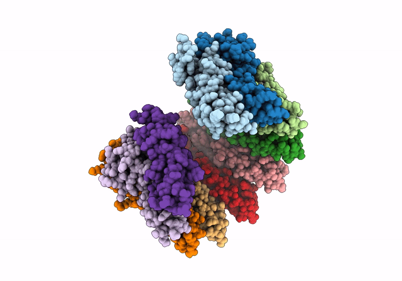 8RJ3 image
