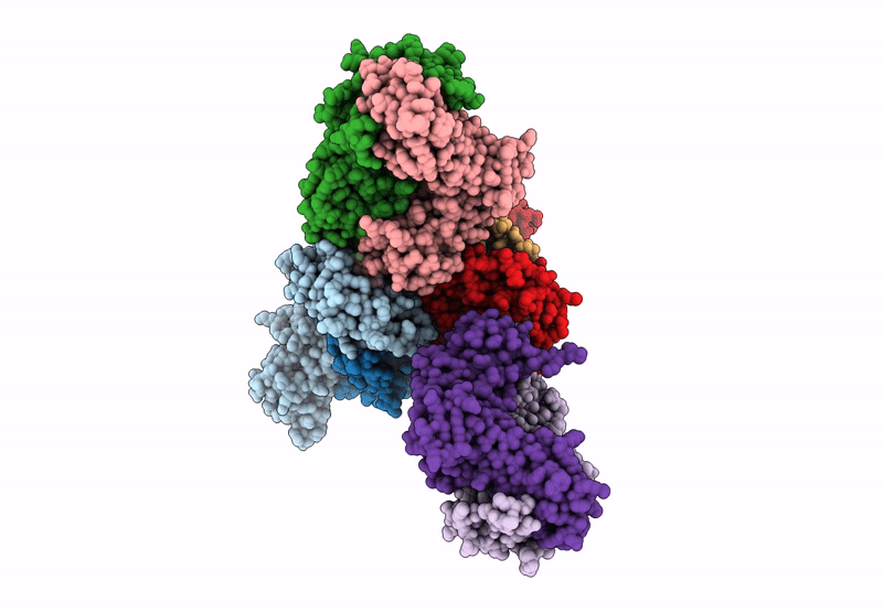 8RJ5 image