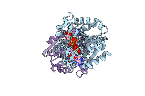 8RJ9 image