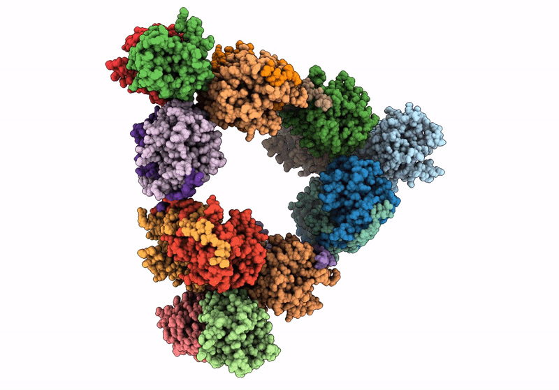 8RJL image