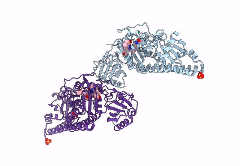 8RJN image