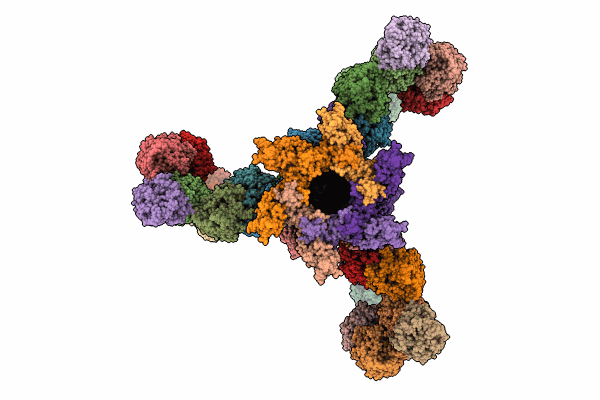 8RK3 image