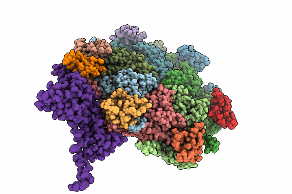 8RKC image