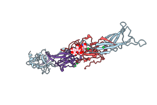 8RKI image