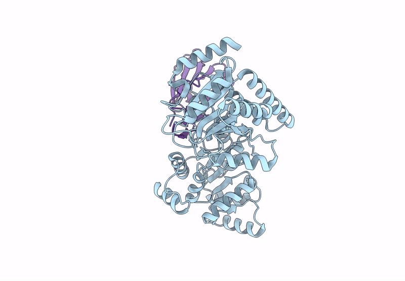 8RLA image