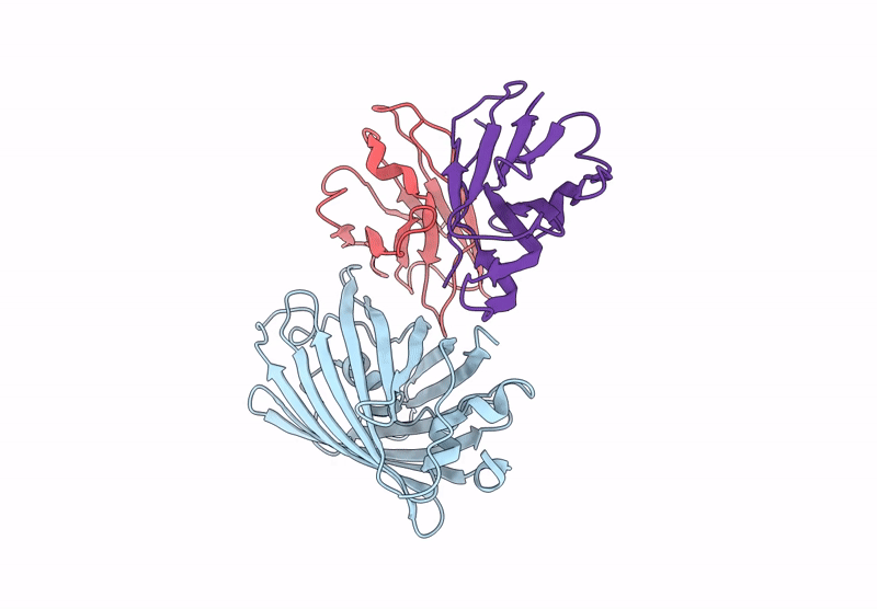 8RLB image