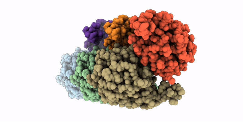 8RLM image