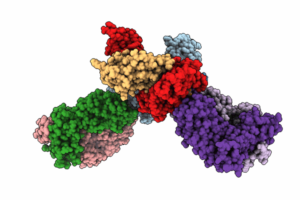 8RLV image