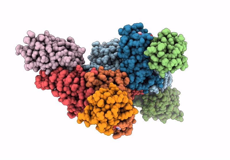 8RMC image