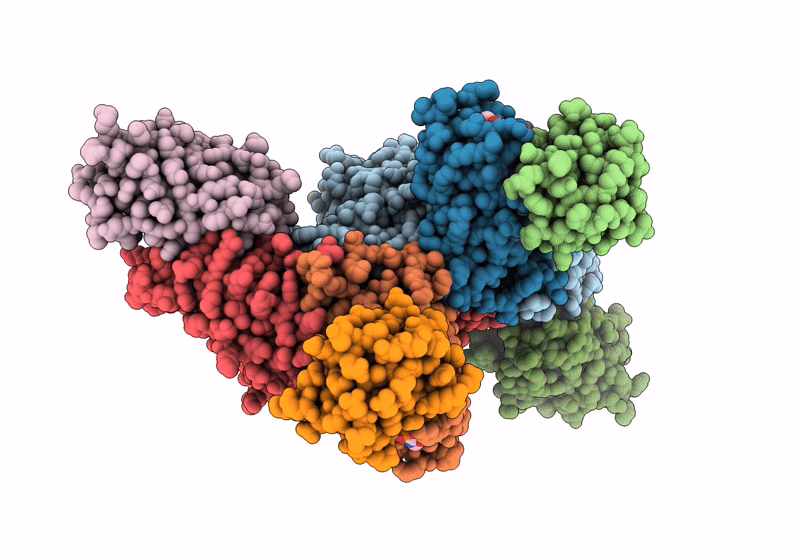 8RMD image