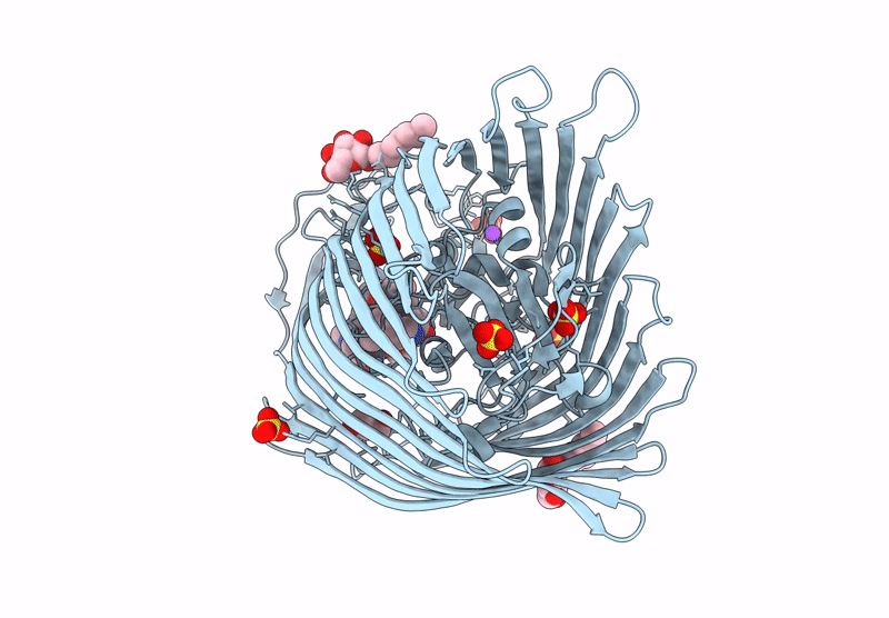 8RMI image