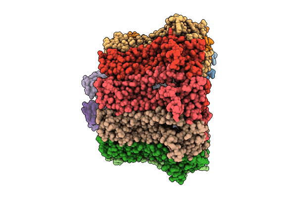 8RML image