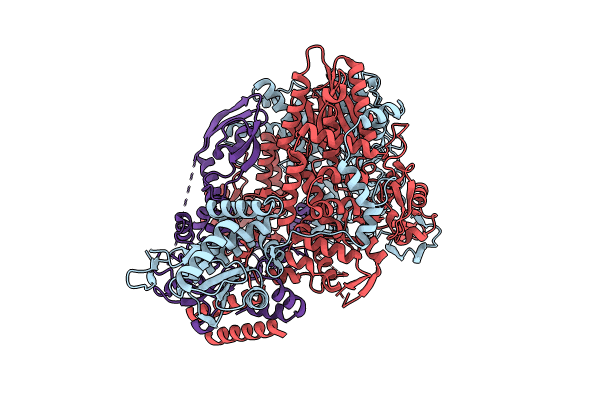 8RMP image
