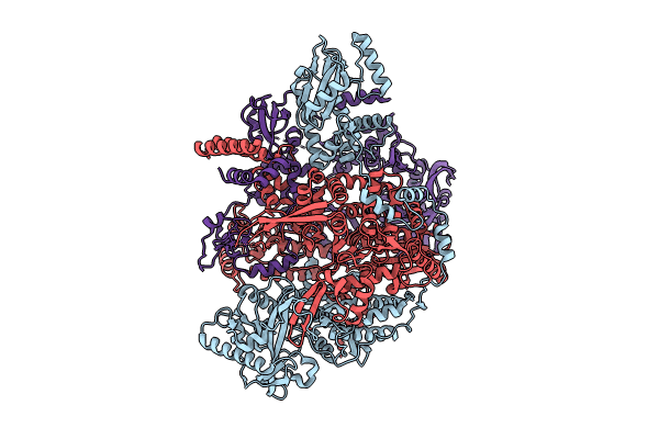 8RMS image