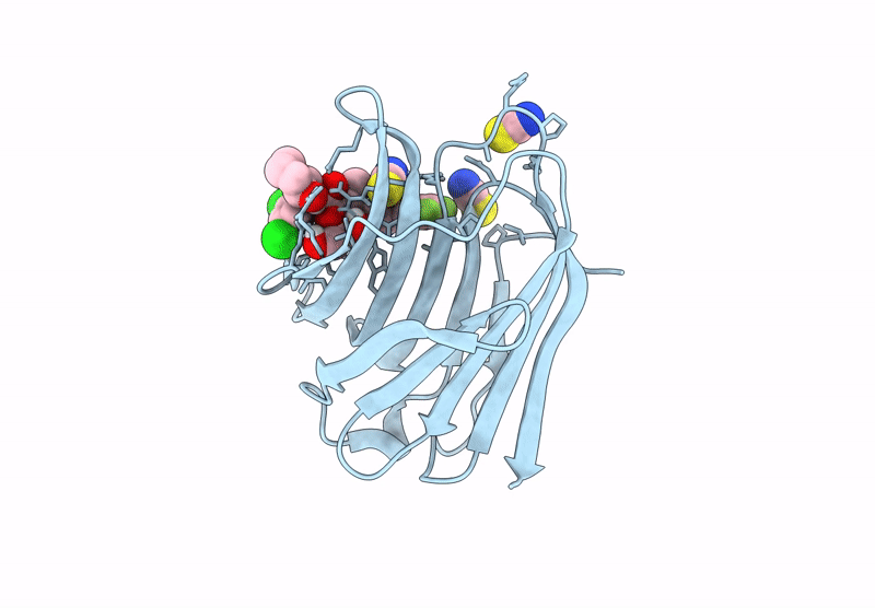 8RMT image