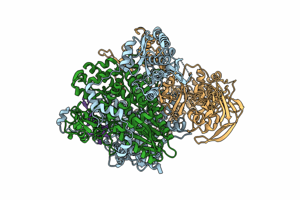8RN1 image