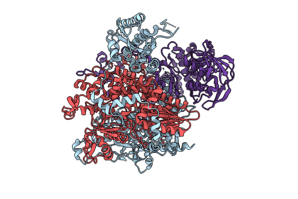 8RN2 image