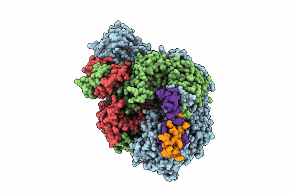 8RN5 image