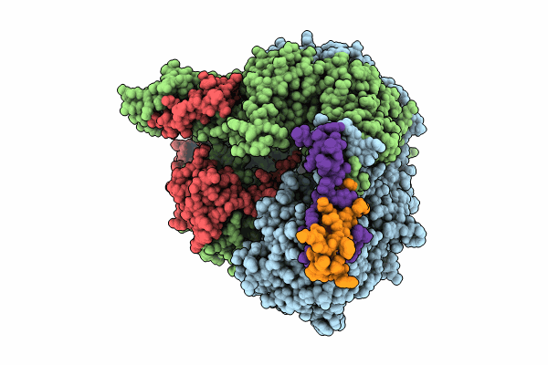 8RN7 image