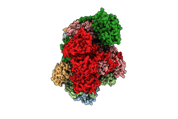 8RNA image