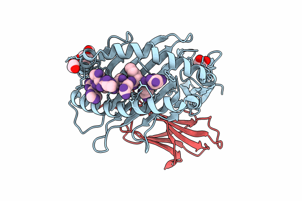 8RNH image