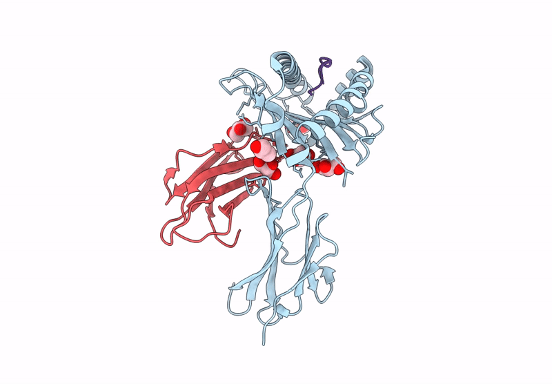 8RNI image