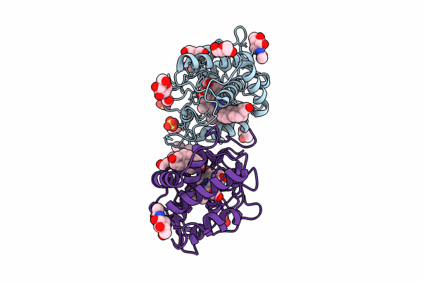8RNM image