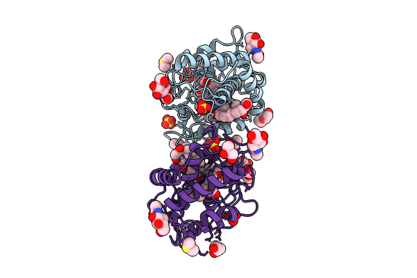 8RNN image