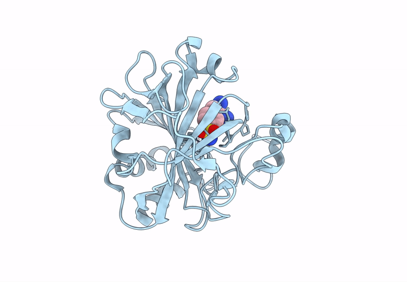 8RNS image