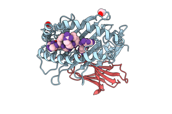 8ROP image
