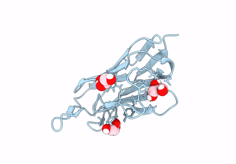 8RPD image