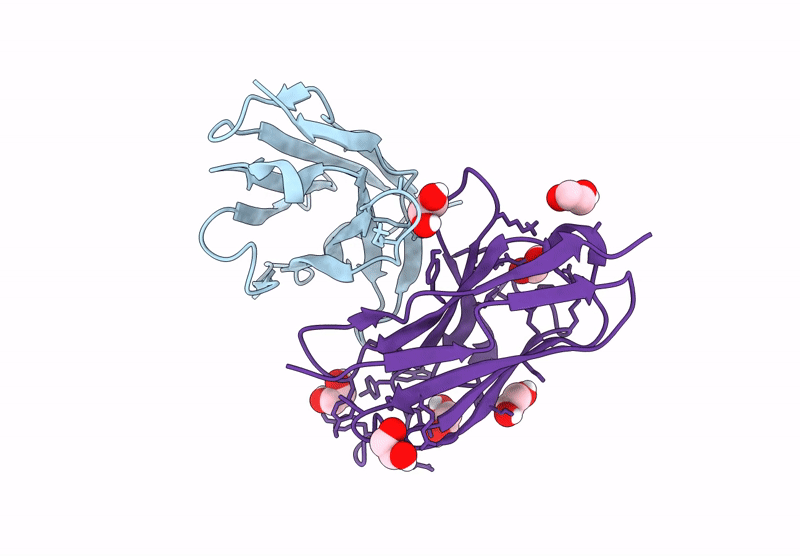 8RPE image