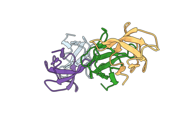 8RPP image