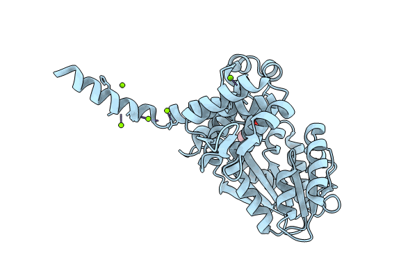 8RPR image