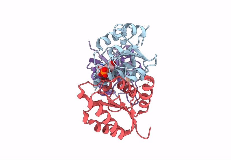 8RPS image
